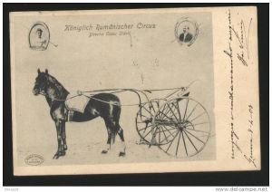 Cartolina Circo Sidoli con cavallo
