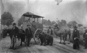 Foto 1: Giovanni detto Paté; nella foto il suo circo