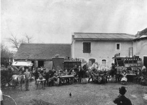 Circo Bernabò - foto di gruppo