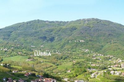 Dal Popolamento della Valle alla Emigrazione Girovaga